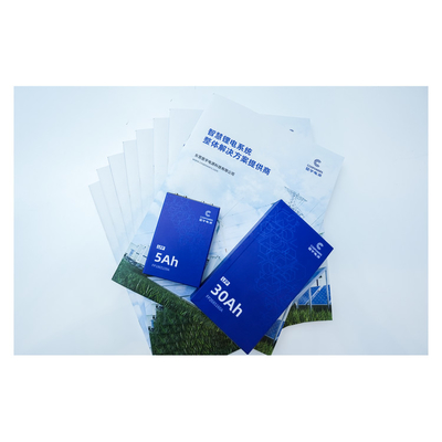 Rechargeable Lithium Polymer Battery 3.2v Lithium Ion Battery Cell Pack