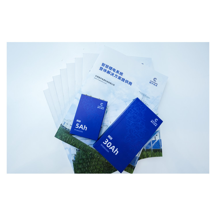 Rechargeable Lithium Polymer Battery 3.2v Lithium Ion Battery Cell Pack
