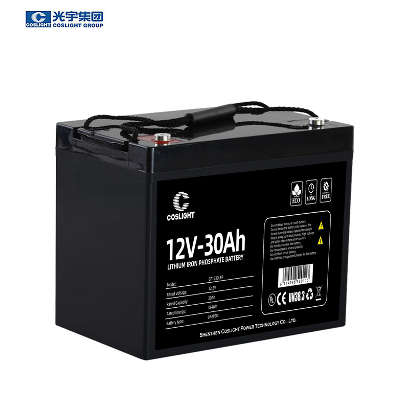 Marine 12v 30Ah Lifepo4 Lithium Batteries 12v 24ah Rechargeable Battery